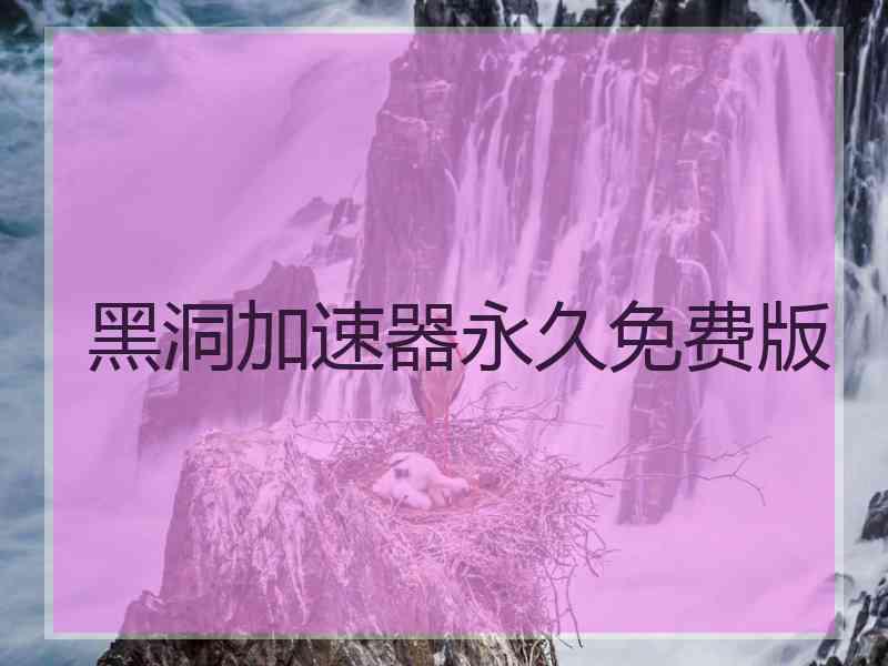 黑洞加速器永久免费版