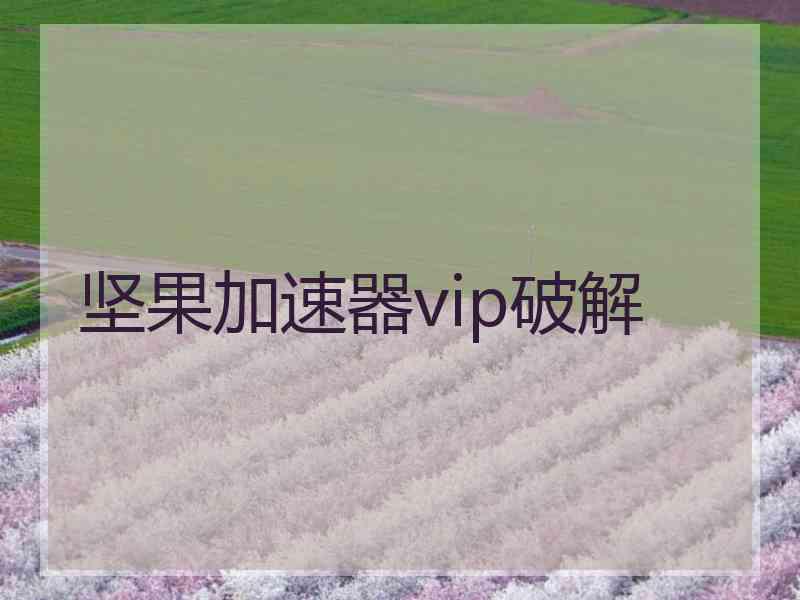 坚果加速器vip破解