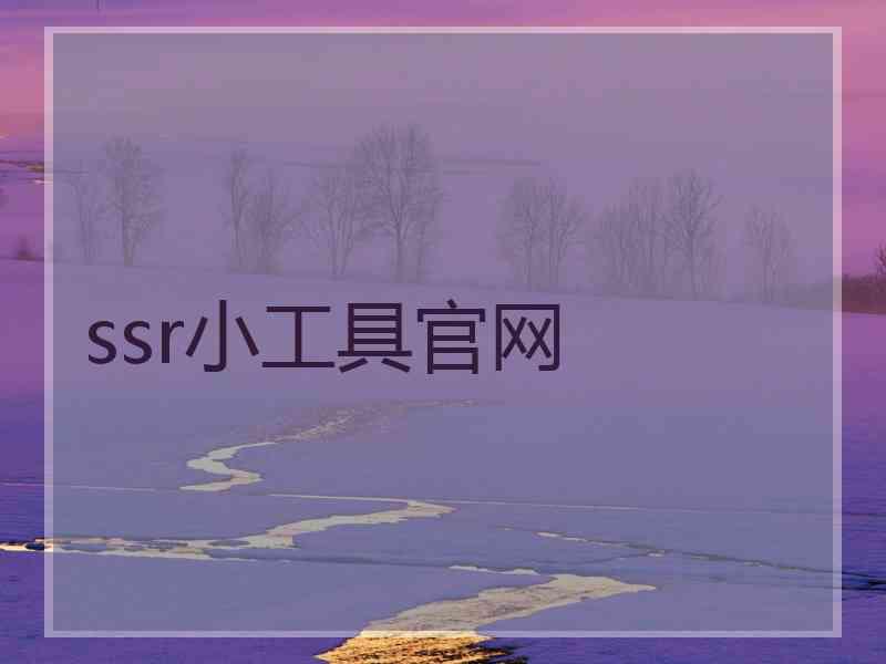 ssr小工具官网