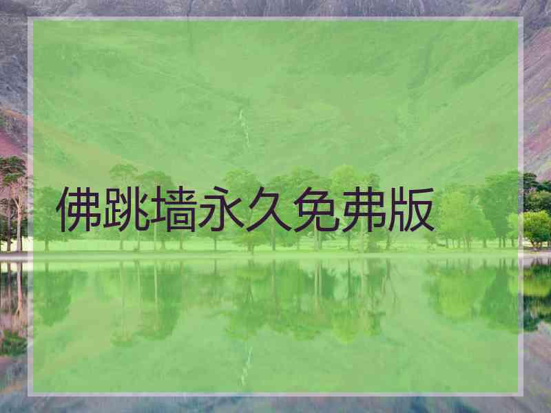 佛跳墙永久免弗版