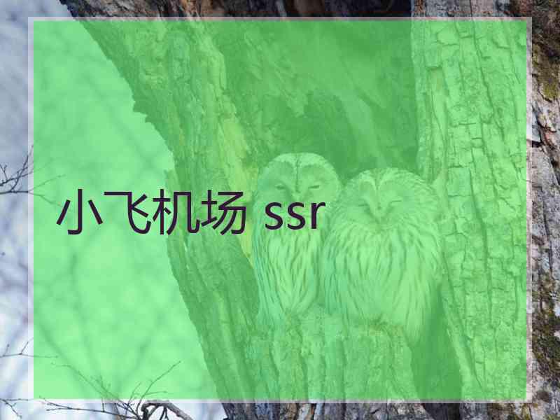 小飞机场 ssr