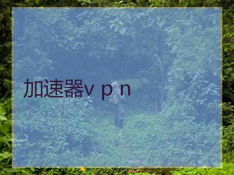 加速器v p n