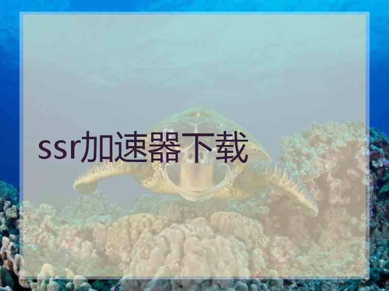 ssr加速器下载