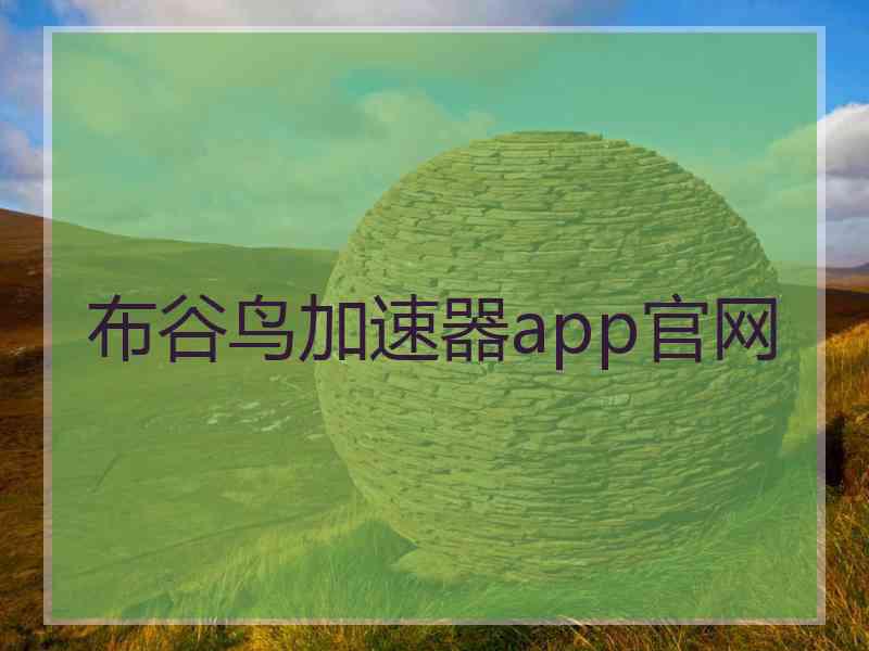 布谷鸟加速器app官网