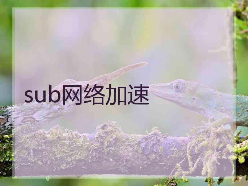 sub网络加速