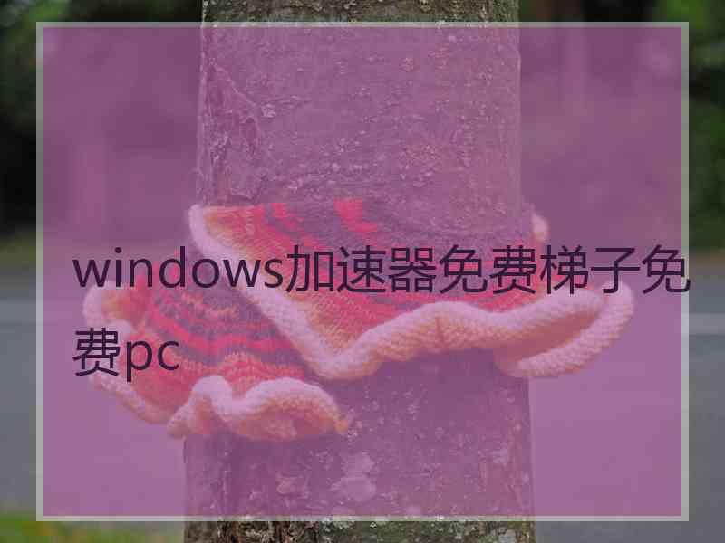 windows加速器免费梯子免费pc