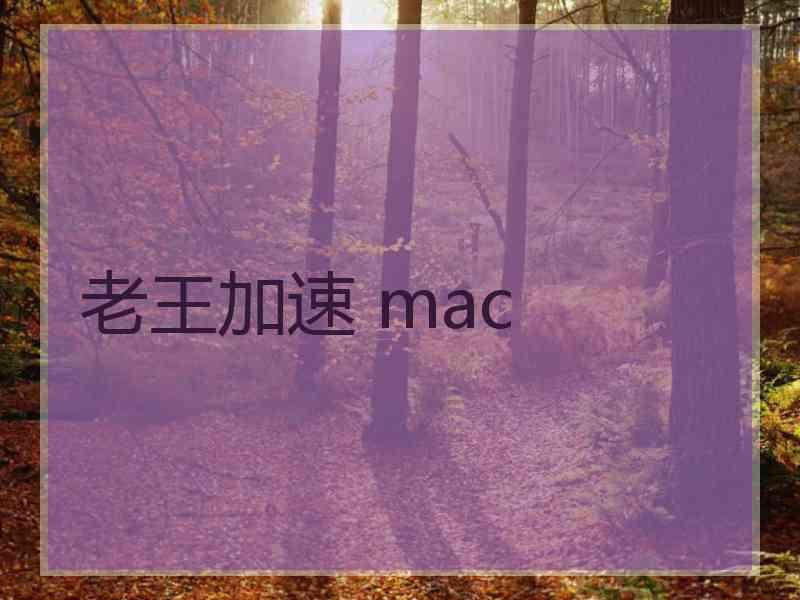 老王加速 mac