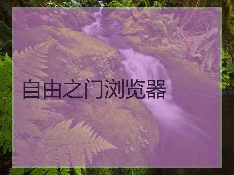 自由之门浏览器