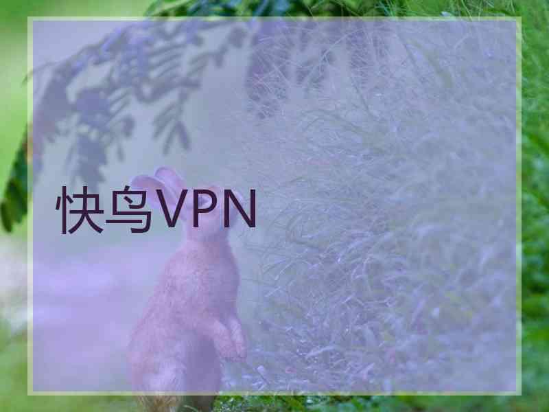 快鸟VPN