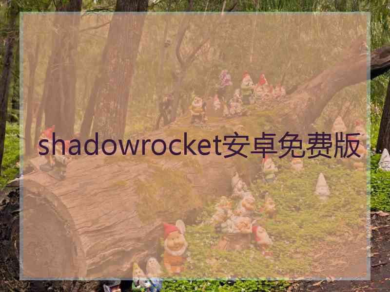 shadowrocket安卓免费版