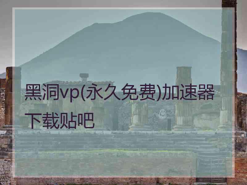 黑洞vp(永久免费)加速器下载贴吧