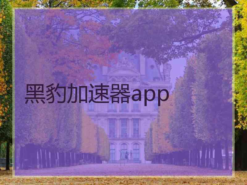 黑豹加速器app