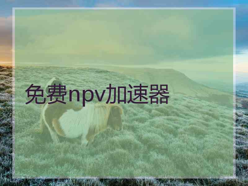 免费npv加速器