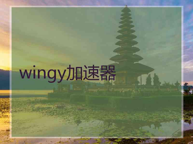 wingy加速器