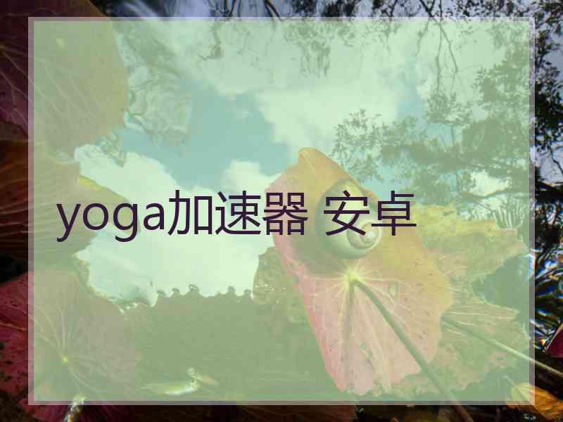 yoga加速器 安卓