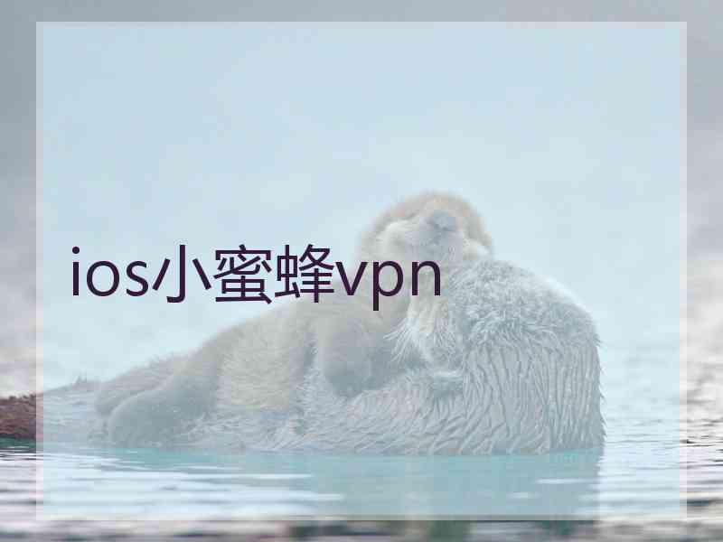 ios小蜜蜂vpn