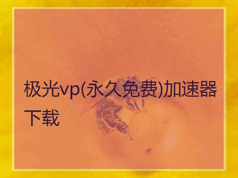 极光vp(永久免费)加速器下载