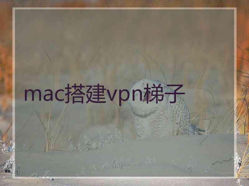 mac搭建vpn梯子