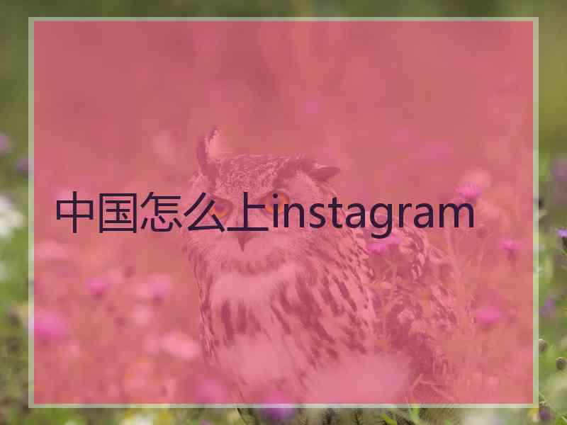 中国怎么上instagram