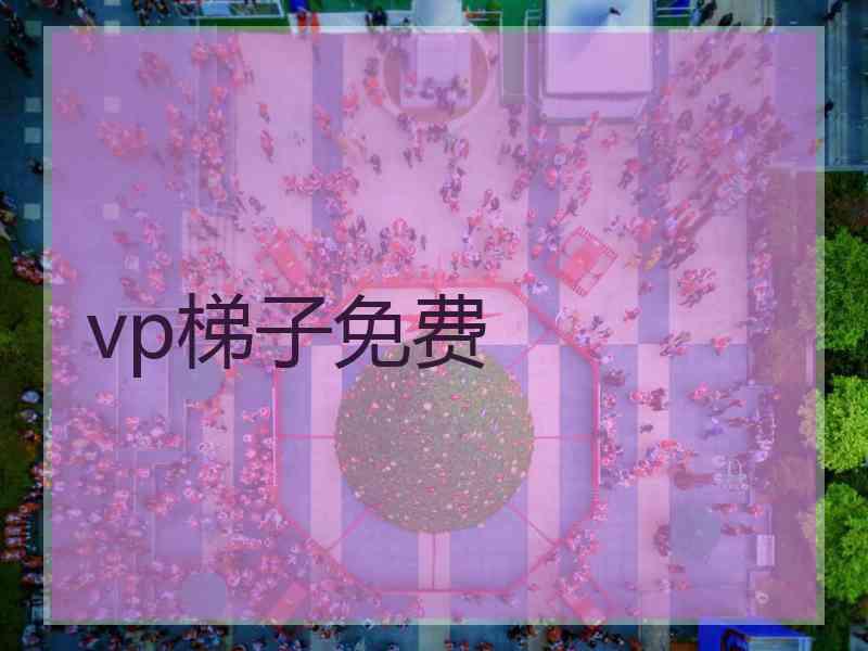 vp梯子免费