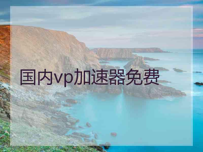 国内vp加速器免费