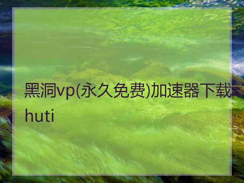 黑洞vp(永久免费)加速器下载zhuti