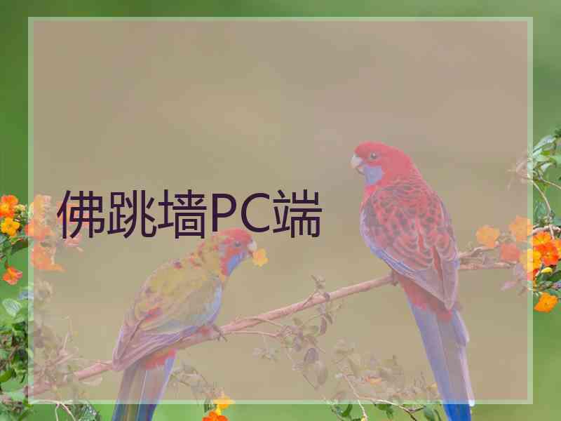 佛跳墙PC端