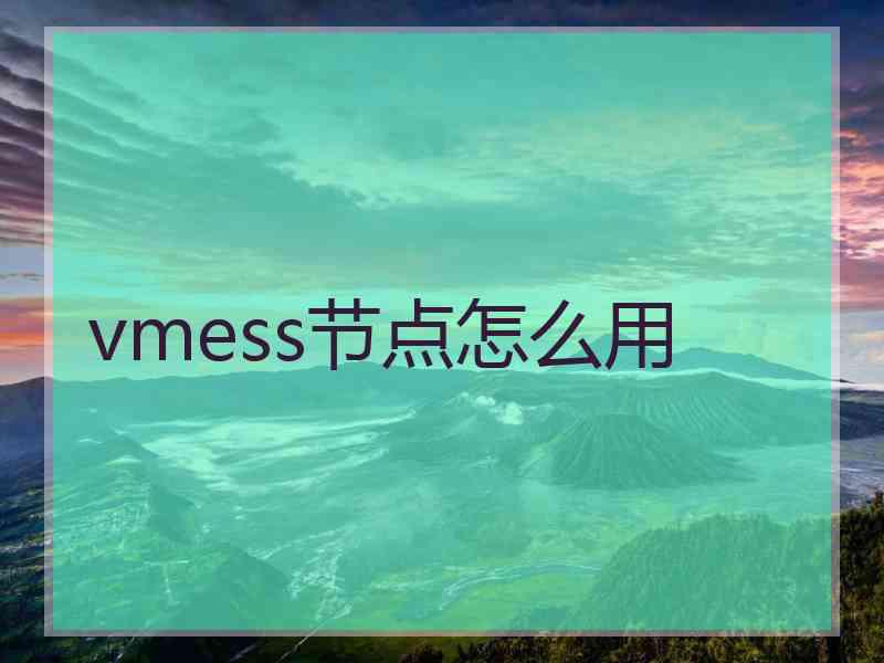 vmess节点怎么用