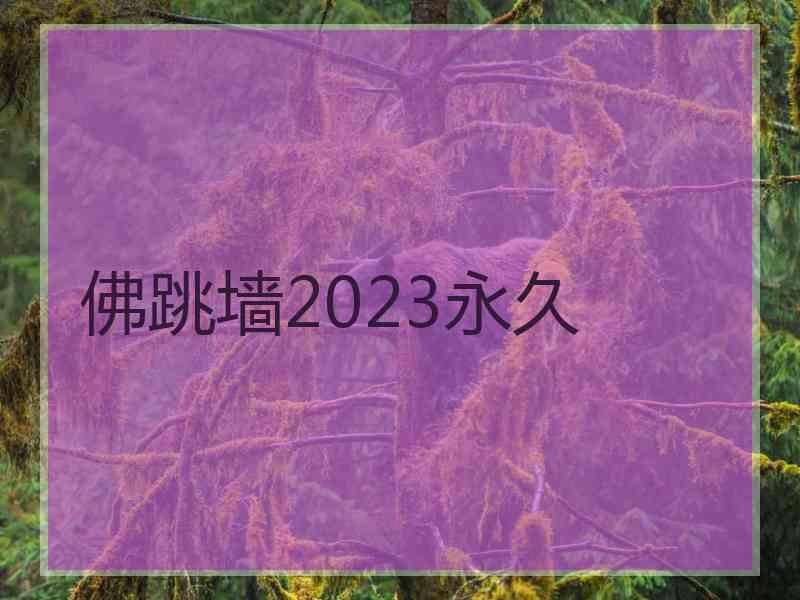 佛跳墙2023永久