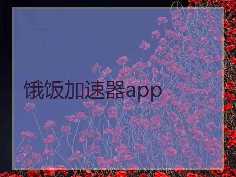 饿饭加速器app