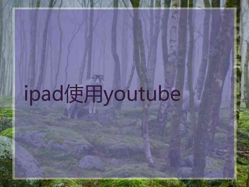 ipad使用youtube