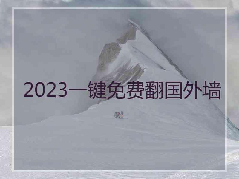 2023一键免费翻国外墙