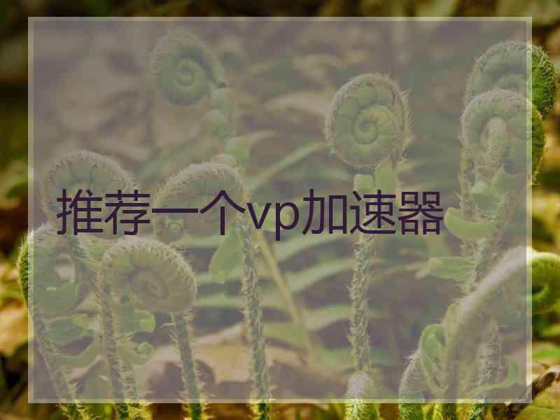 推荐一个vp加速器