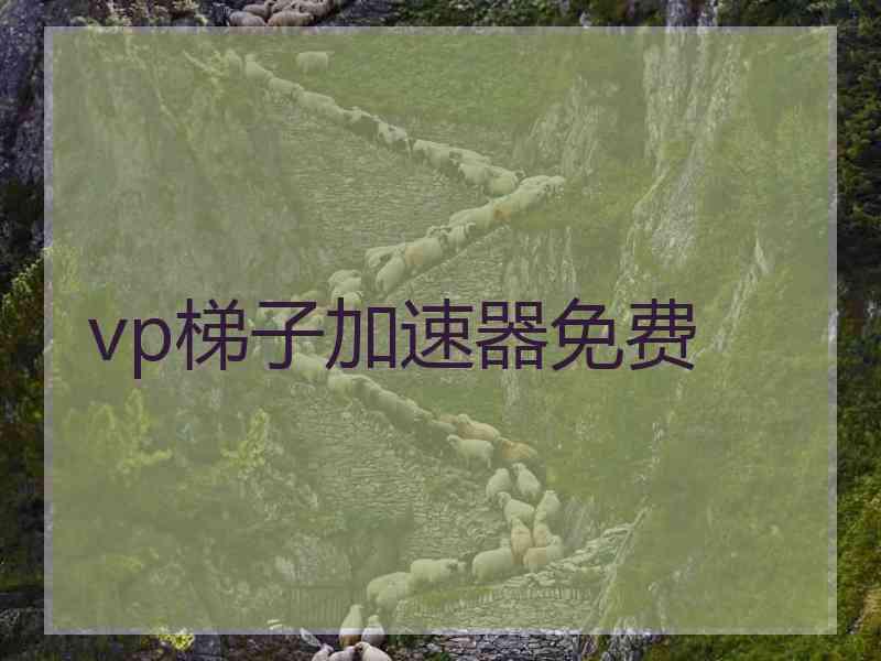 vp梯子加速器免费