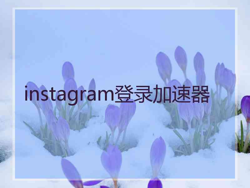 instagram登录加速器