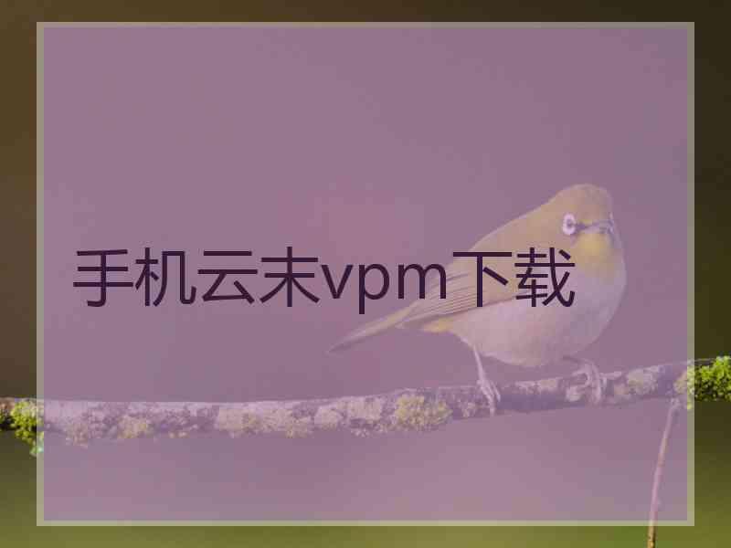 手机云末vpm下载