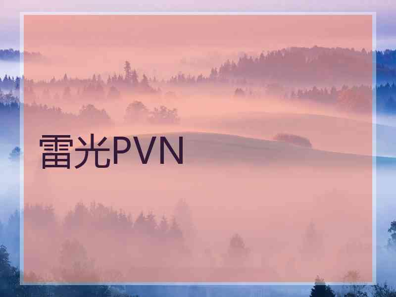 雷光PVN