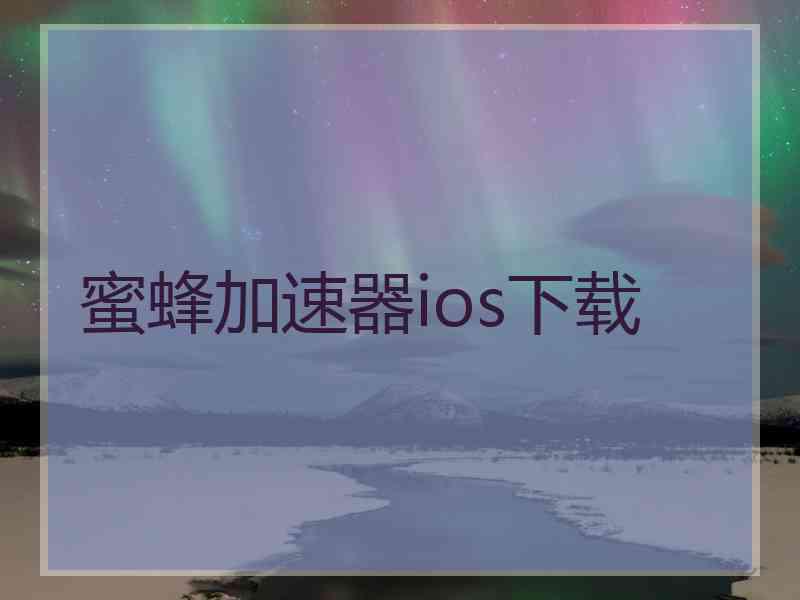 蜜蜂加速器ios下载