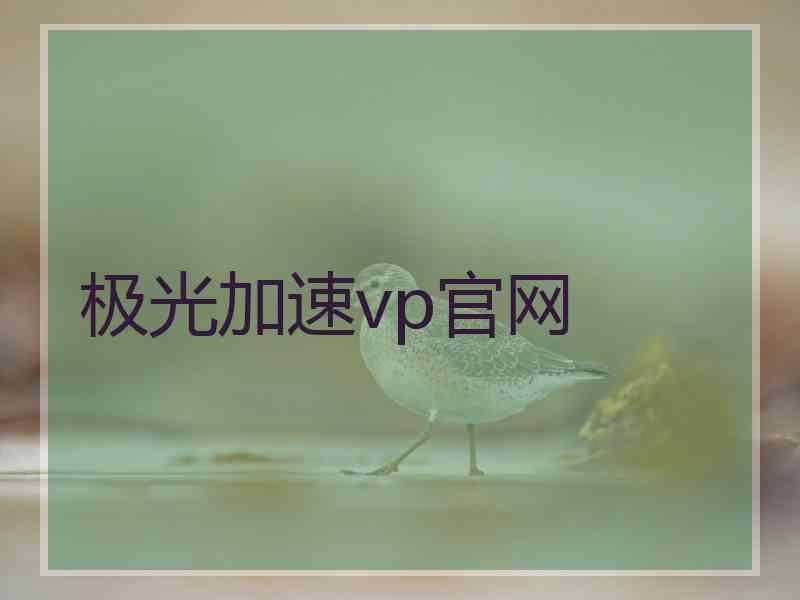 极光加速vp官网