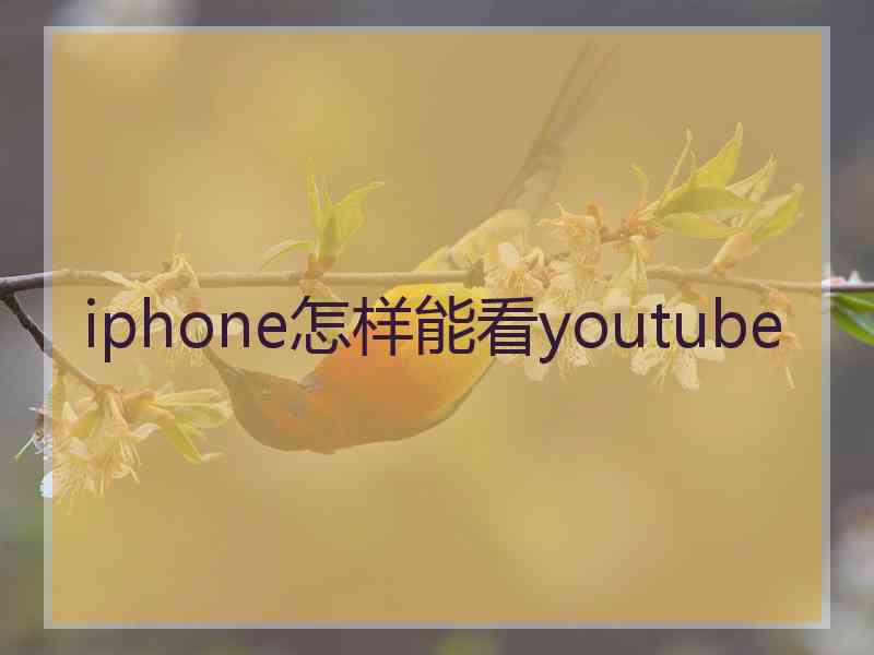 iphone怎样能看youtube