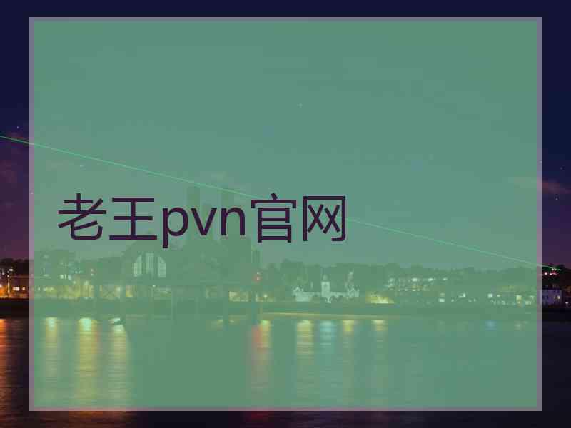 老王pvn官网