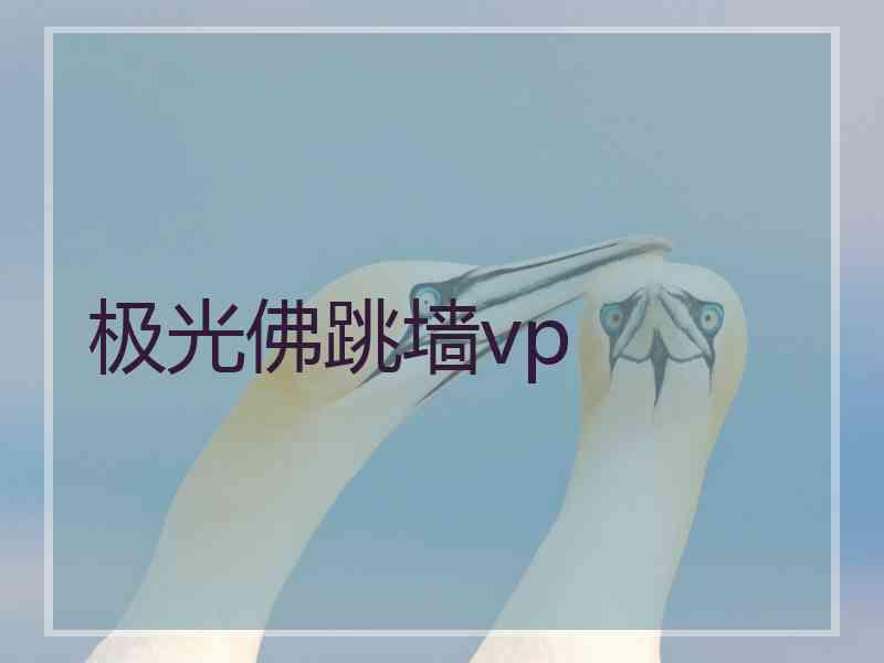 极光佛跳墙vp