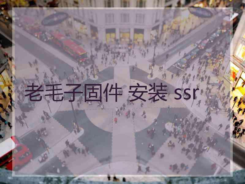 老毛子固件 安装 ssr