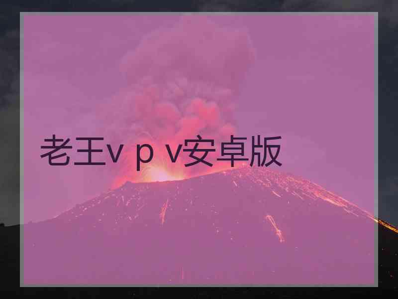 老王v p v安卓版