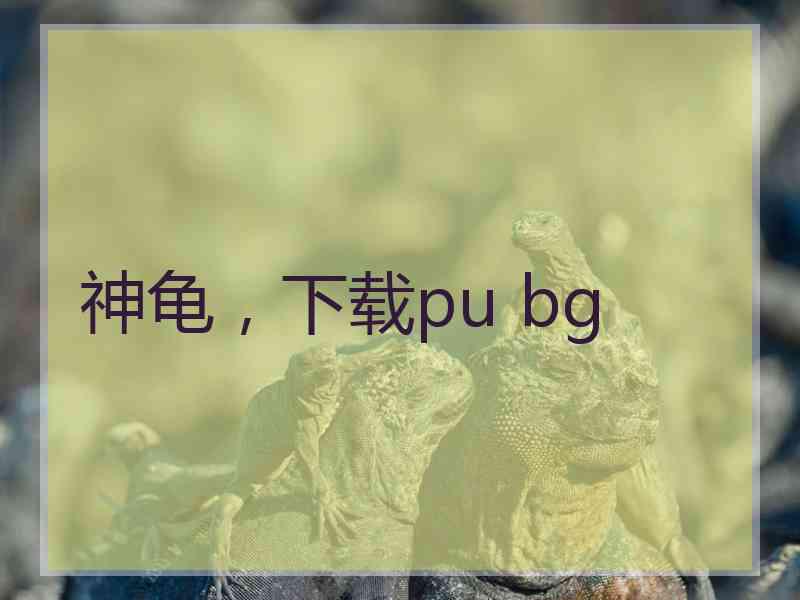 神龟，下载pu bg