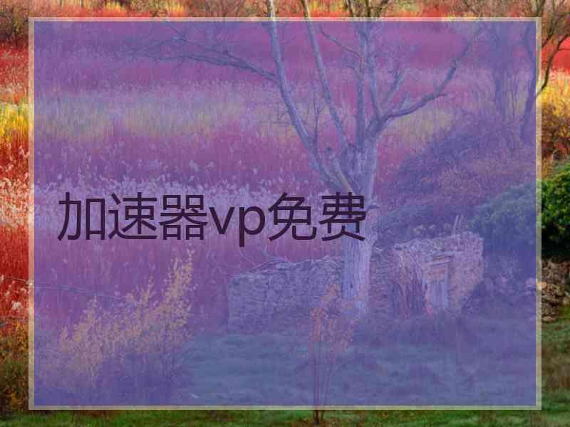 加速器vp免费