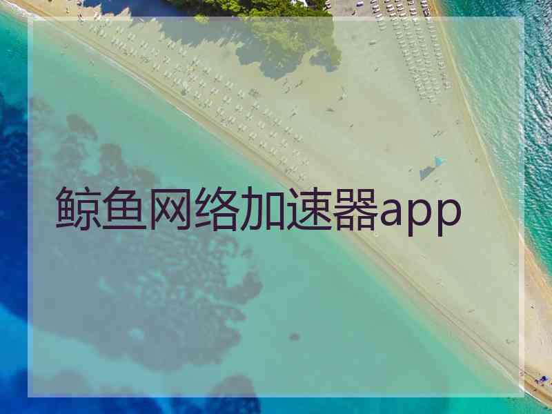 鲸鱼网络加速器app