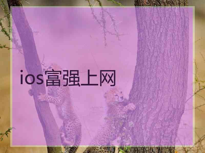 ios富强上网