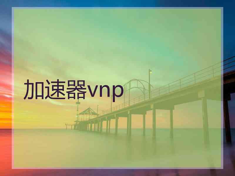 加速器vnp