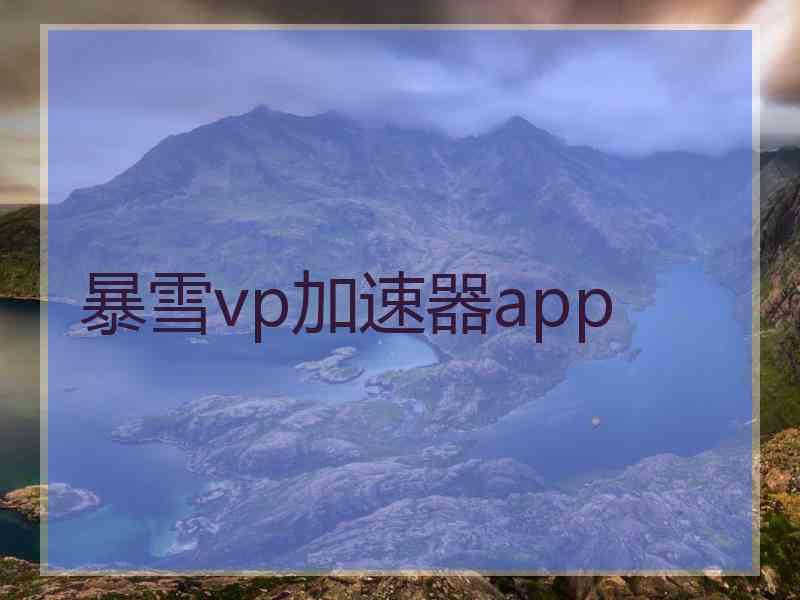 暴雪vp加速器app